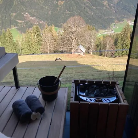 Rubin - Sld600 By Interhome Apartment