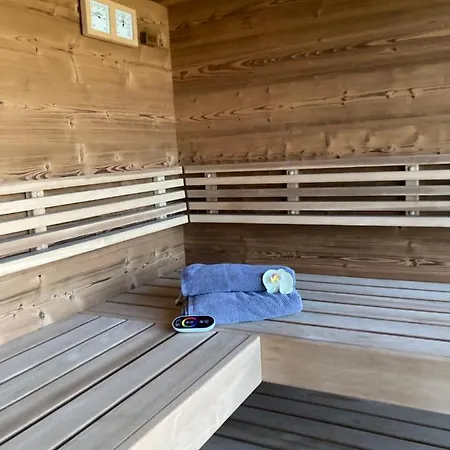 Rubin By Interhome Daire Schladming