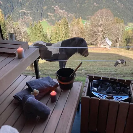 Rubin By Interhome * Шладминг