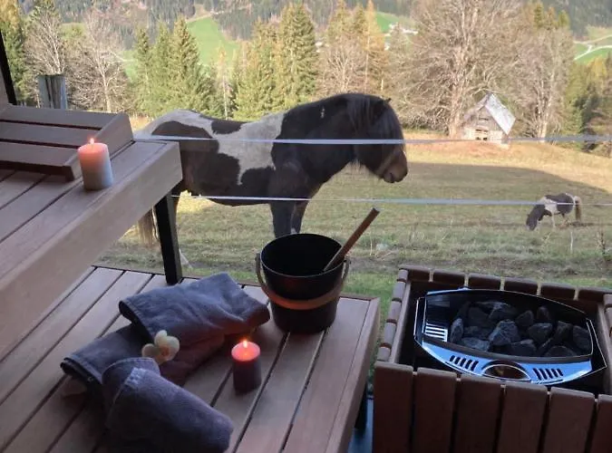 Rubin By Interhome * Schladming